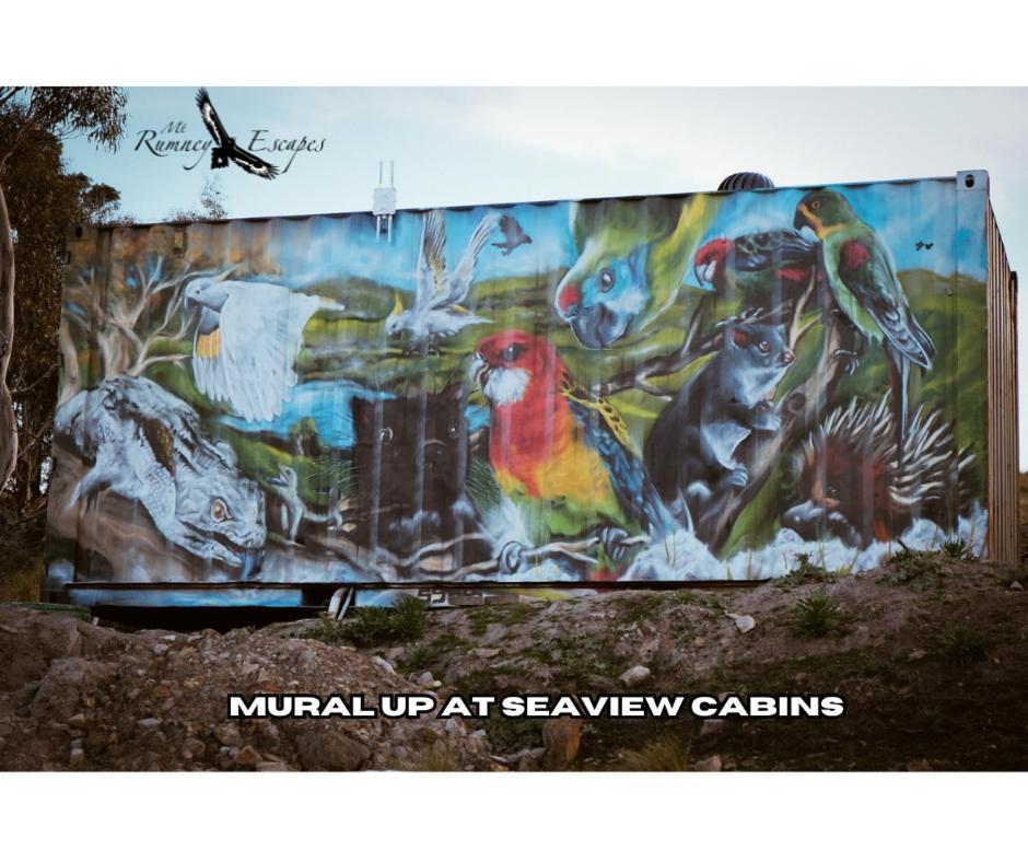 Mount Rumney Escapes - 3 Seaview Wombat House Exteriér fotografie